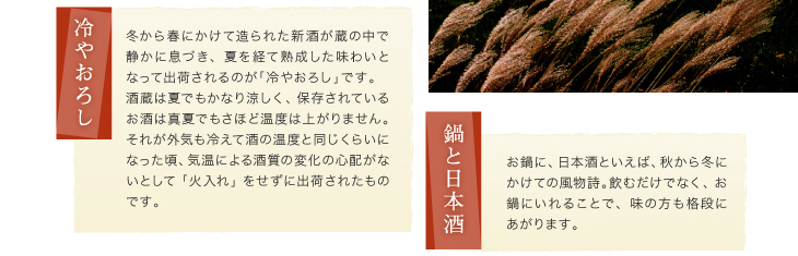 「冷やおろし」冬から春にかけて造られた新酒が蔵の中で静かに息づき、夏を経て熟成した味わいとなって出荷されるのが「冷やおろし」です。
酒蔵は夏でもかなり涼しく、保存されているお酒は真夏でもさほど温度は上がりません。それが外気も冷えて酒の温度と同じくらいになった頃、気温による酒質の変化の心配がないとして「火入れ」をせずに出荷されたものです。「鍋と日本酒」お鍋に、日本酒といえば、秋から冬にかけての風物詩。飲むだけでなく、お鍋にいれることで、味の方も格段にあがります。
