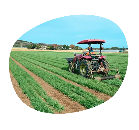 日本文化との関わりイメージ