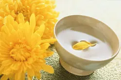 四季で楽しむ日本酒