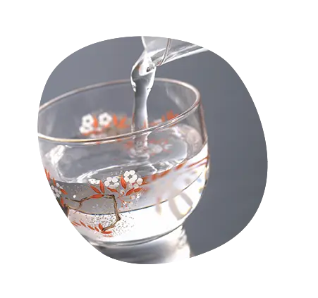 世界の中の國酒イメージ