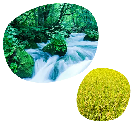 世界の中の國酒イメージ