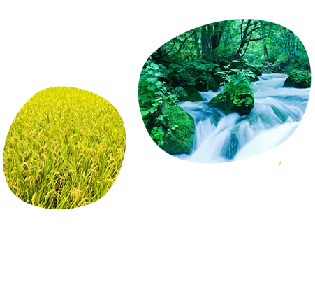 世界の中の國酒イメージ