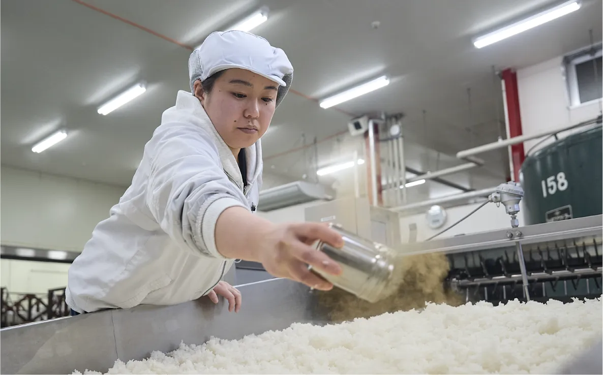 造り手たちが語る伝統的酒造りインタビュー渡部七海