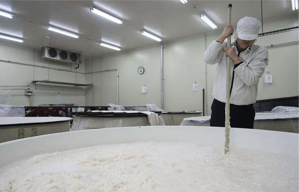 インタビュー渡部七海イメージ04