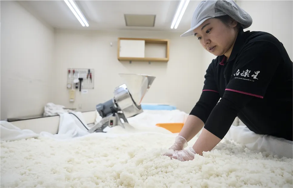 インタビュー渡部七海イメージ08