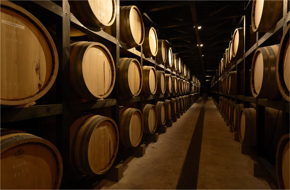 インタビュー黒木信作イメージ02