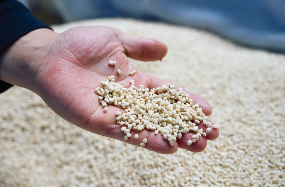 インタビュー黒木信作イメージ06